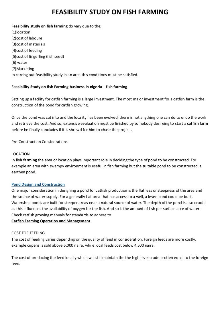 Feasibility study of the project. Example of design Feasibility study of the project. Example of design
